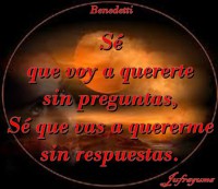 /album/fotogaleria/se-que-voy-jpg/